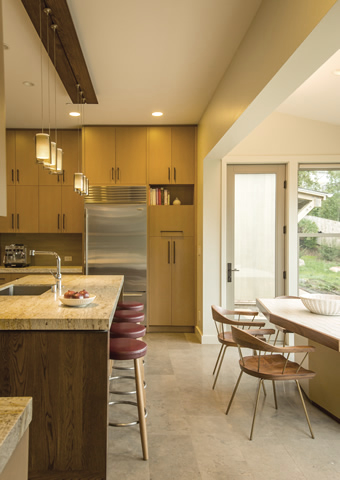 Marin residence kitchen